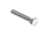 11855598-3-S-Ryobi-080009019059-Screw (m5 X 10mm, Pan Hd)