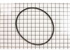 Belt – Part Number: 34201469G