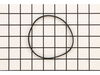 Retainer Band – Part Number: 560069001