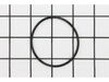 O-Ring – Part Number: 079005004057