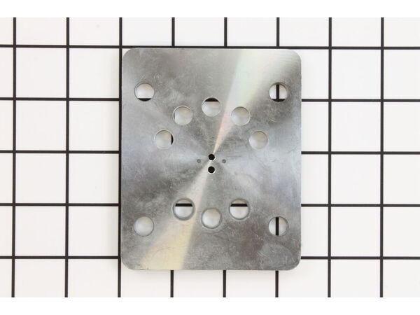 11865247-1-M-Ridgid-079027013152-Valve Plate