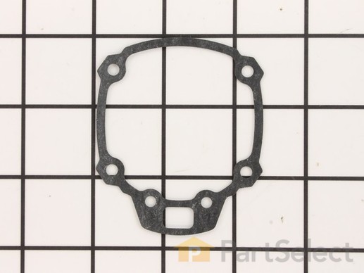 11865417-1-M-Ridgid-079074001006-Gasket