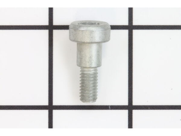 11865766-1-M-Ridgid-080009008257-Bolt (M6, Hex Soc Hd)