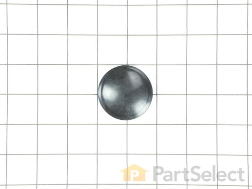 11866755-1-M-Ridgid-19903-Button Cap