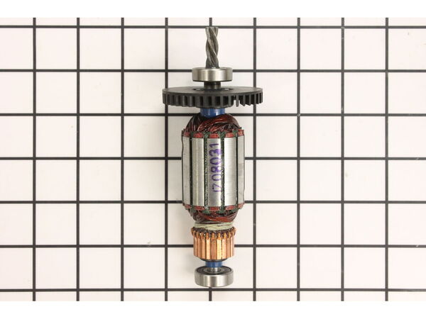 11867478-1-M-Ridgid-36433-Armature, 115V