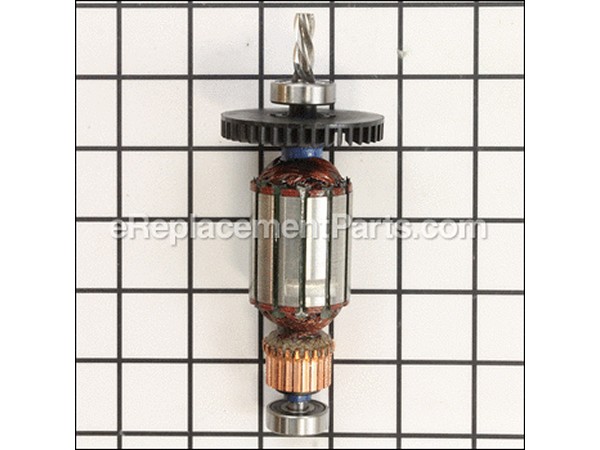 11867479-1-M-Ridgid-36438-Armature, 230V