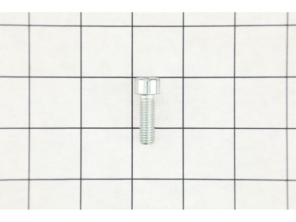 11867531-1-M-Ridgid-39398-Screw (4)