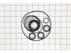 Oil Seal Kit – Part Number: 39718