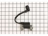 Module, Ignition – Part Number: A202478