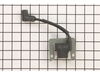 11873652-2-S-Powermate-A202478-Module, Ignition