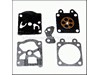 Gasket/Diaphragm Kit – Part Number: 531004519