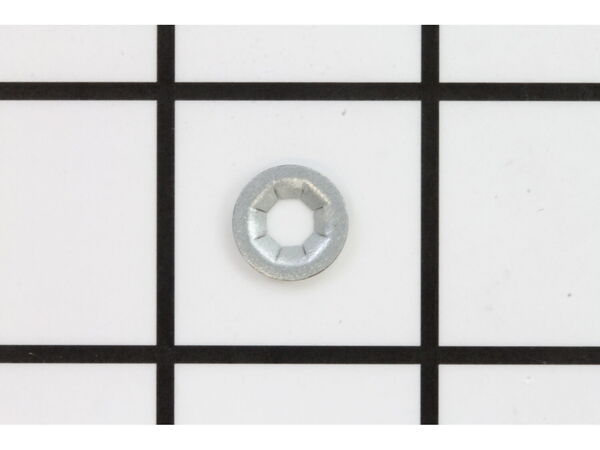 11876134-1-M-Paramount-534400701-Nut
