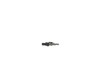 11877187-2-S-Milwaukee-22-18-0905-Carbon Brush Set (2)
