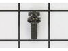 Screw and Washer Assembly – Part Number: 013-10600-30