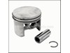 Piston Assembly – Part Number: 030132000