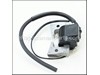 Ignition Coil – Part Number: 254-79430-51