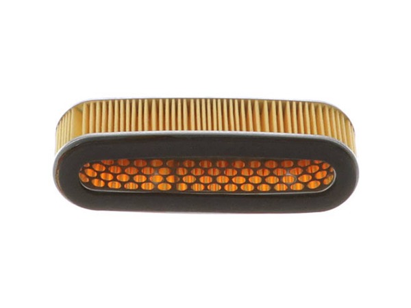 11889938-1-M-Honda-17210-ZE5-000-Element, Air Cleaner