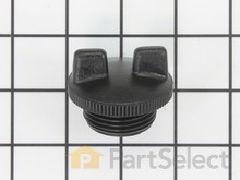 Cap, Filler – Part Number: 78119-YB8-003