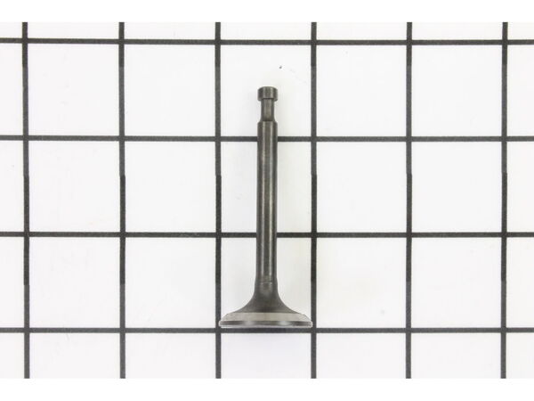 11897986-1-M-Homelite-12121-Z010120-0000-Exhaust Valve