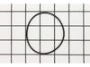 O-Ring – Part Number: 314-881
