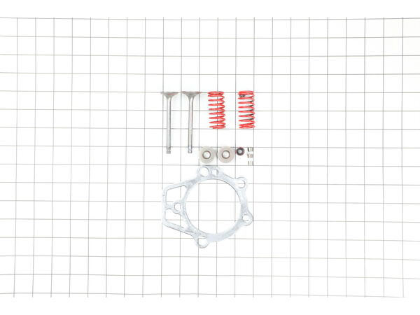 11923347-1-M-Generac-0D24890ESV-Intake Valve