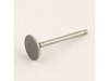 Valve, Intake – Part Number: G086517