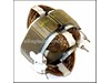 Field – Part Number: 394488-01