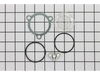 Crankcase Cover Kit – Part Number: 5140142-70