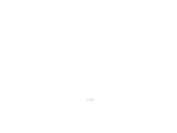 11927972-1-M-DeWALT-618568-00-Felt Wiper