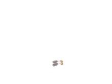 Brush Kit – Part Number: N028884