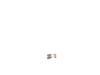Brush Kit – Part Number: N028884