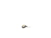Light Ring Assembly – Part Number: N073422