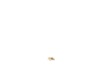 Holder,lt.brush – Part Number: N440281
