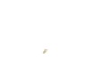 11929799-2-S-DeWALT-N440281-Holder,lt.brush