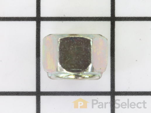 11967315-1-M-Craftsman-5391013-31-Nut