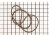 Drive Belt – Part Number: 583784801