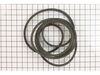 V-Belt – Part Number: 583791301
