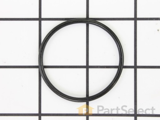 11973646-1-M-Craftsman-6220.00-Lwr Vlv Ring