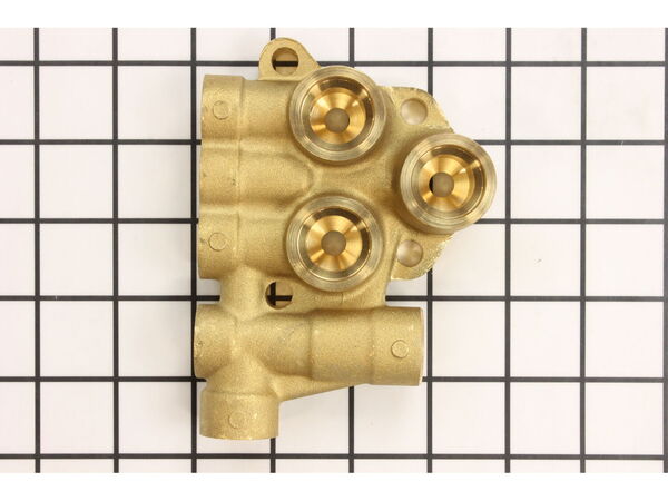 12000787-1-M-Campbell Hausfeld-PM062920SV-Manifold (Head)