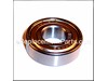 Ball Bearing 6203 Zz – Part Number: 7060010000