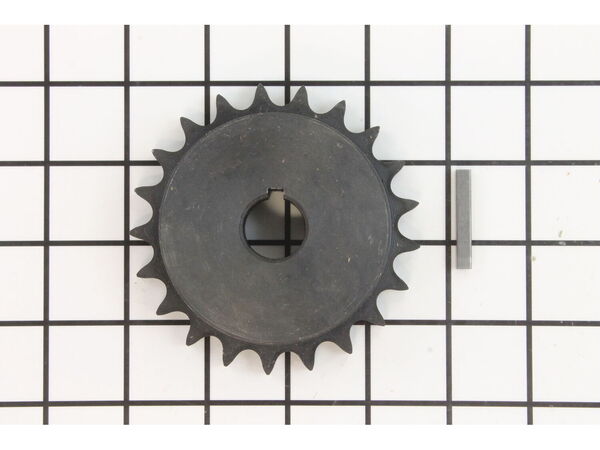 12003618-1-M-Bluebird-539111106-Sprocket, 21T W/Setscrews