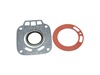 Gasket Kit – Part Number: 8950280027