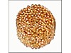 Filter – Part Number: CA156976