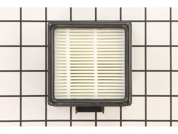 12022445-1-M-Dirt Devil-RO-PY1105-F-43 Filter Assembly
