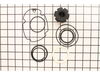 Rebuild Kit – Part Number: GRRBK1100