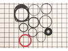 Rebuild Kit – Part Number: GRRBK700
