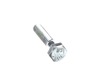 12033286-3-S-Insinkerator-11524-Screw (1/4-20 x 1)