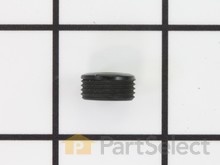Brush Cap – Part Number: 31343310420