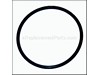 O-Ring – Part Number: EHPT-198