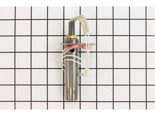 12045766-1-M-Napoleon-W010-1949-SER-Ignition Assembly